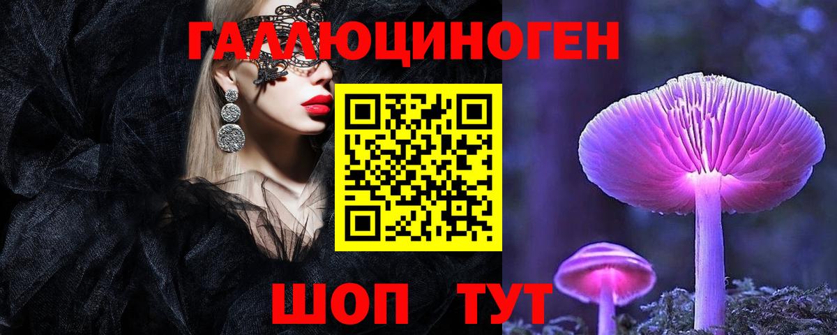 наркотики  Псилоцибиновые грибы GOLDEN TEACHER  Вход с VPN  Ульяновск 